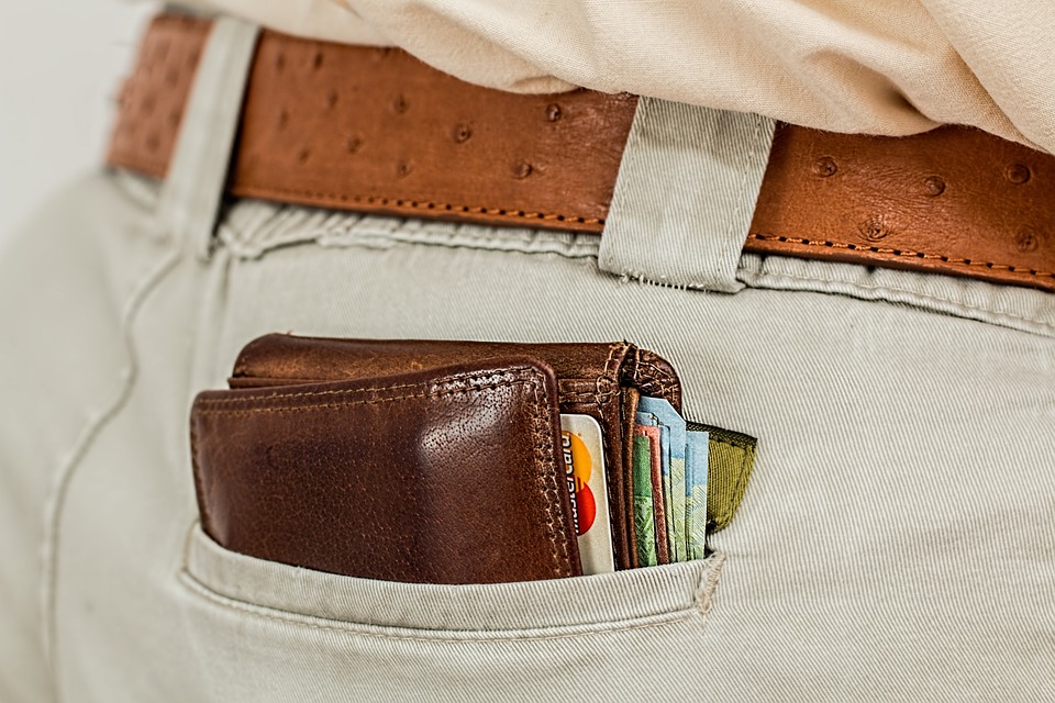 traveler wallet and money